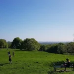 Top Hidden Gems in Havering Worth Discovering Beyond Central London Attractions