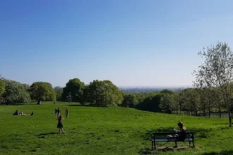 Top Hidden Gems in Havering Worth Discovering Beyond Central London Attractions