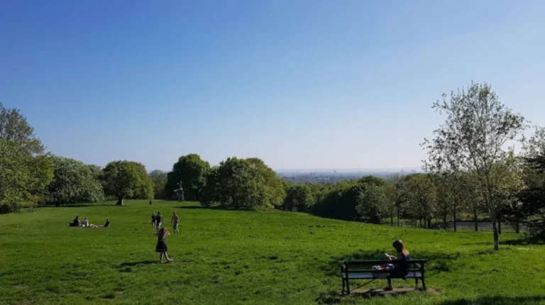 Top Hidden Gems in Havering Worth Discovering Beyond Central London Attractions