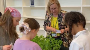 Tower Hamlets Leads London in Healthy Schools Awards Success