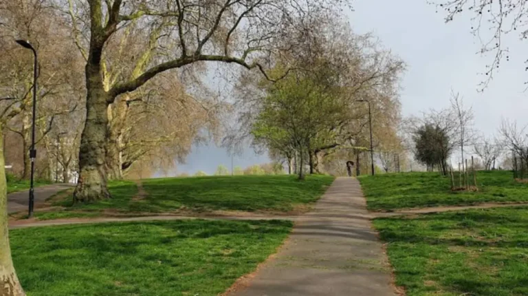 Ultimate Visitor Guide to Hackney Parks, Canals, Food and Attractions
