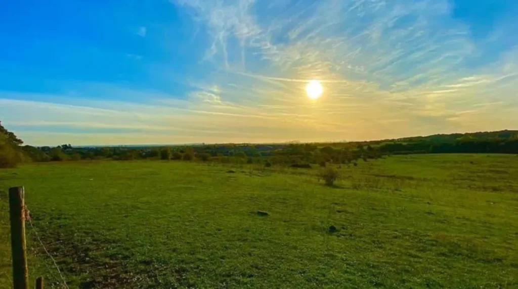 What are the best seasonal activities across Havering's outdoor locations?
