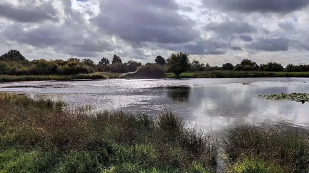 What makes Havering borough unique for travellers seeking hidden gems beyond Central London?