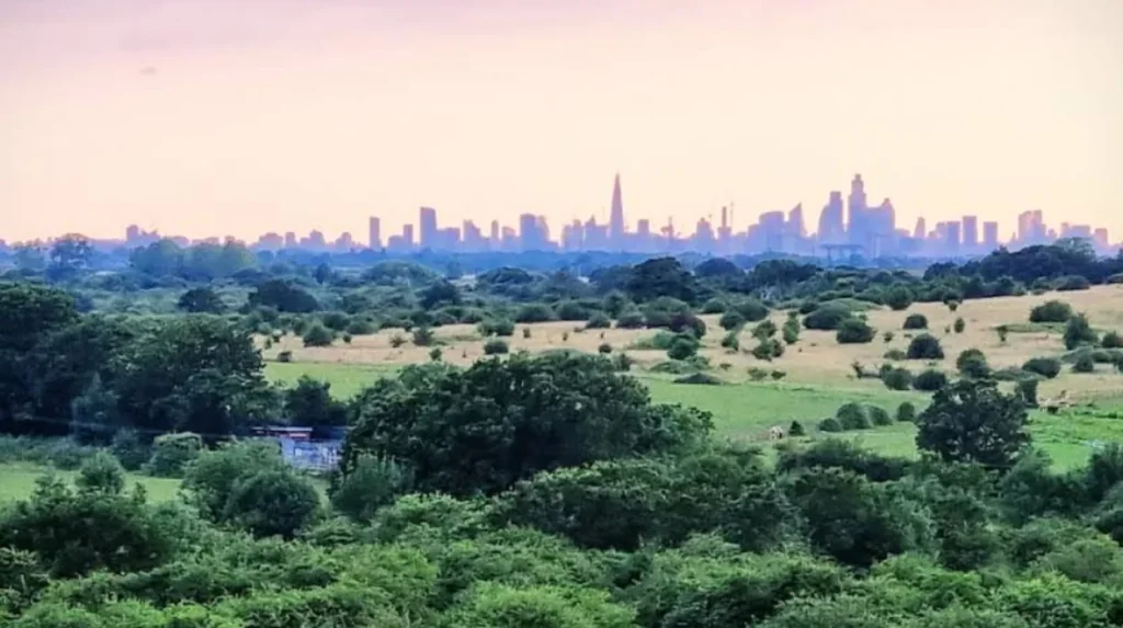 What makes Havering distinct from other London boroughs?