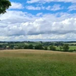 Where to Go in Havering for History, Nature and Family Activities