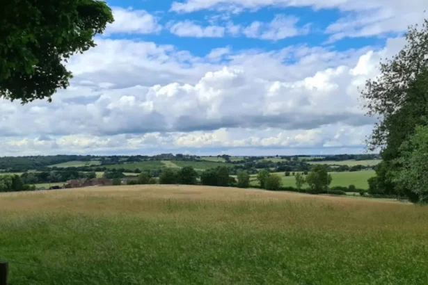 Where to Go in Havering for History, Nature and Family Activities