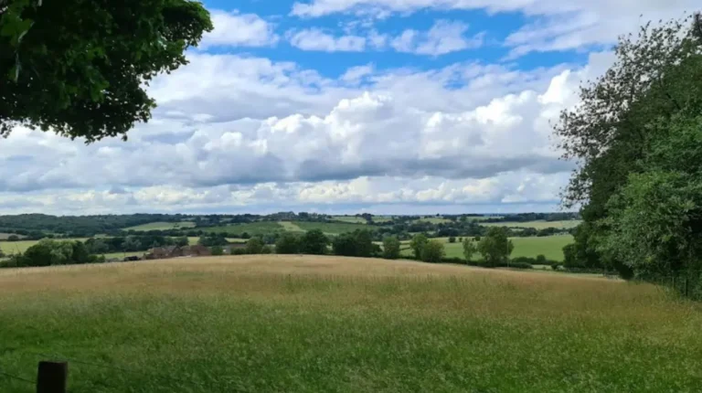 Where to Go in Havering for History, Nature and Family Activities