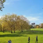 Best Day Out Ideas in Havering: Parks, Heritage, and Local Gems