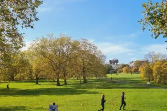 Best Day Out Ideas in Havering: Parks, Heritage, and Local Gems