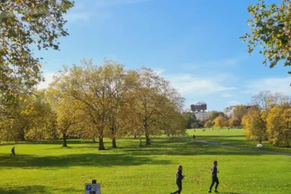 Best Day Out Ideas in Havering: Parks, Heritage, and Local Gems