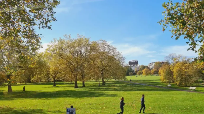 Best Day Out Ideas in Havering: Parks, Heritage, and Local Gems