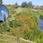East London Hosepipe Ban: Romford, Barking and Havering Among Areas Facing New Water Restrictions 