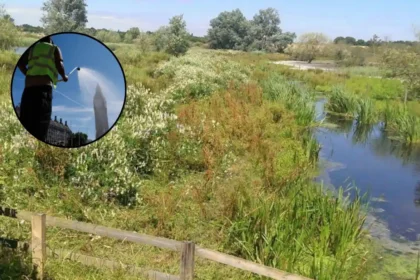 East London Hosepipe Ban: Romford, Barking and Havering Among Areas Facing New Water Restrictions 