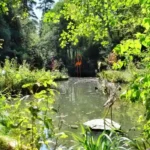 East London's Hidden Park with Magical Sculpture Trail
