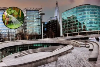 Full List of London Postcodes Affected by Immediate Hosepipe Ban During Heatwave 