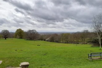 Havering Visitor Guide: Best Attractions, Green Spaces & Cultural Experiences
