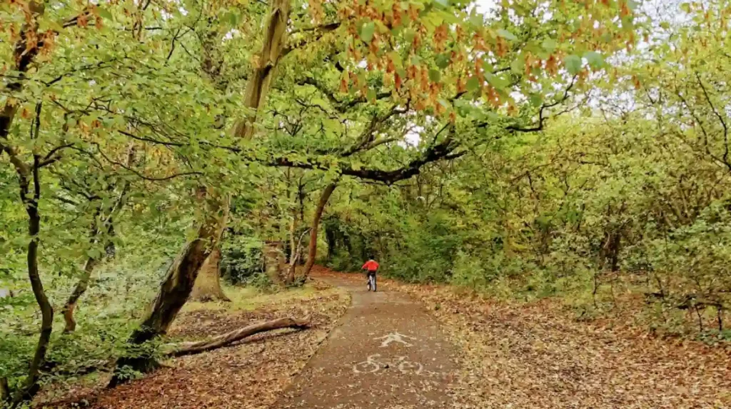 How should visitors plan one day in Havering?