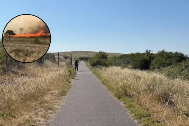 Ingrebourne Valley Fires: Residents Demand Action After Repeated Blazes in Havering 2026