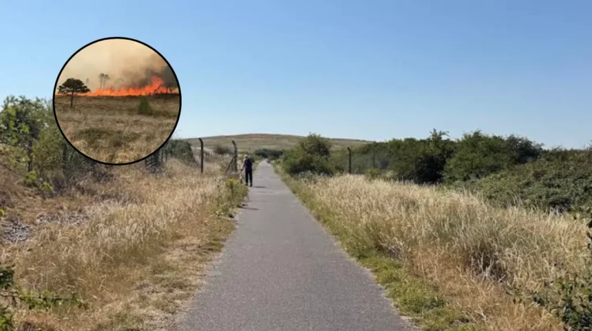 Ingrebourne Valley Fires: Residents Demand Action After Repeated Blazes in Havering 2026