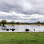 Most Popular Places to Explore in Havering for First-Time Visitors to East London