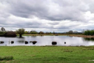 Most Popular Places to Explore in Havering for First-Time Visitors to East London