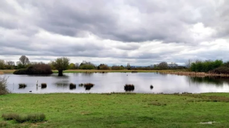 Most Popular Places to Explore in Havering for First-Time Visitors to East London