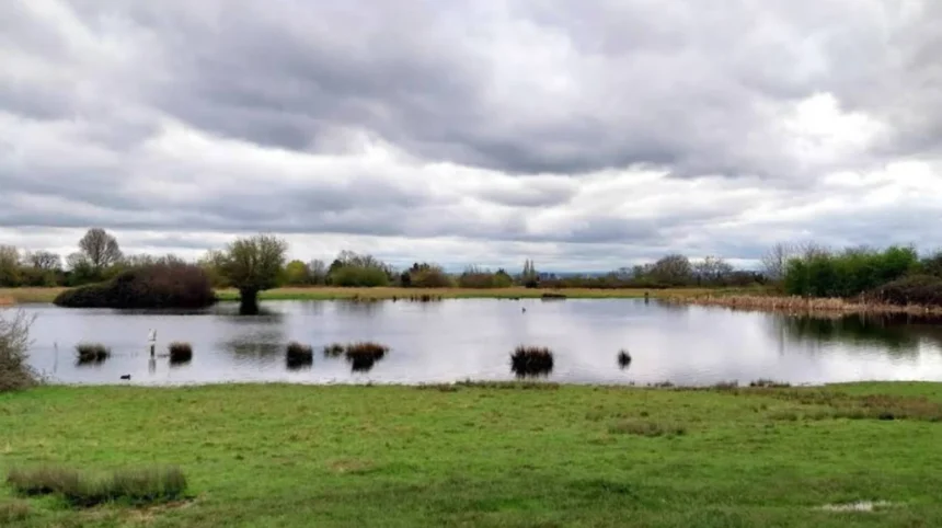 Most Popular Places to Explore in Havering for First-Time Visitors to East London