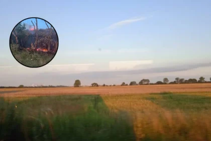 Romford and Rainham Grassfires Under Investigation Across Havering 2026