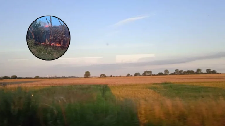 Romford and Rainham Grassfires Under Investigation Across Havering 2026
