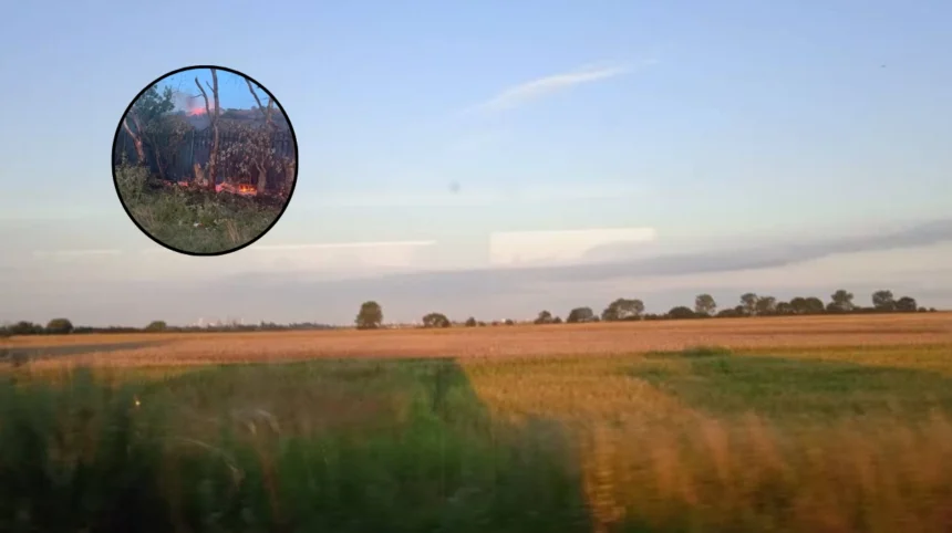Romford and Rainham Grassfires Under Investigation Across Havering 2026