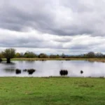 Top Nature Reserves, Parks, and Outdoor Escapes to Visit in Havering