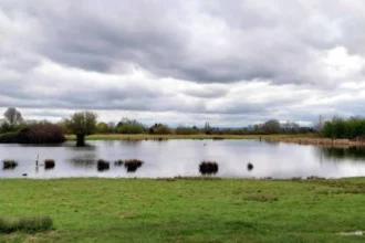 Top Nature Reserves, Parks, and Outdoor Escapes to Visit in Havering