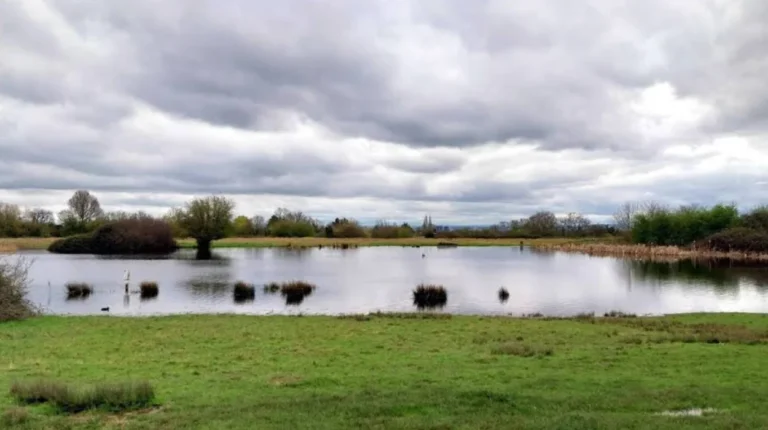 Top Nature Reserves, Parks, and Outdoor Escapes to Visit in Havering