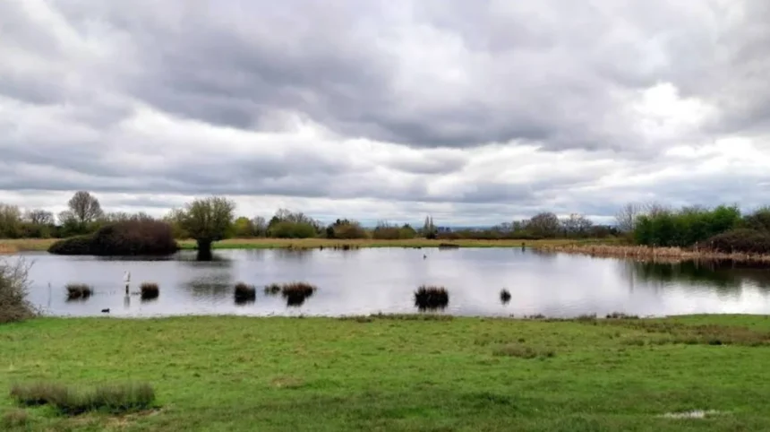 Top Nature Reserves, Parks, and Outdoor Escapes to Visit in Havering