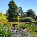 Top Reasons to Visit Havering for Heritage, Countryside and Local Attractions