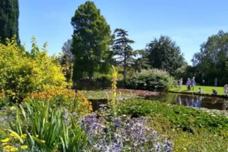 Top Reasons to Visit Havering for Heritage, Countryside and Local Attractions
