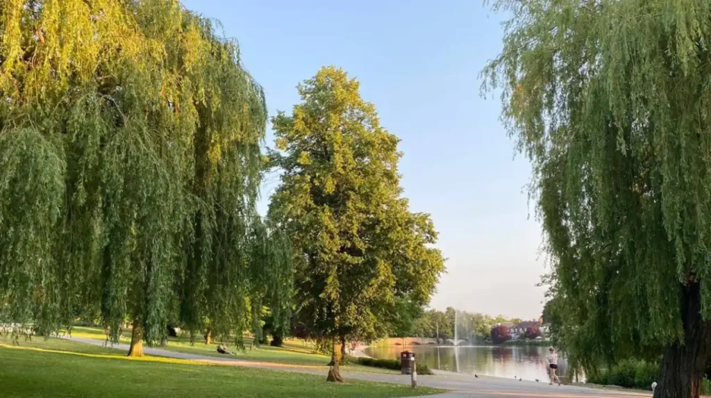 What are the best nature reserves and parks to visit in Havering