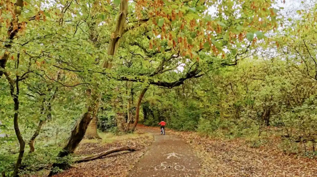 What are the most popular places to visit in Havering for first-time tourists?