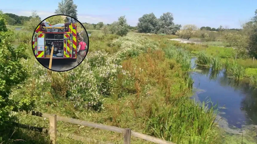 90 Firefighters Battle Massive Wildfire at Hornchurch Country Park East London 2026