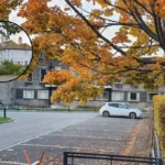 Berwick Manor Hotel Licence Review by Havering Council in Rainham 2026