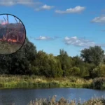 Firefighters Battle Severe Grass Fires Across Havering East London 2026