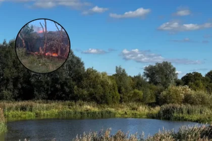 Firefighters Battle Severe Grass Fires Across Havering East London 2026