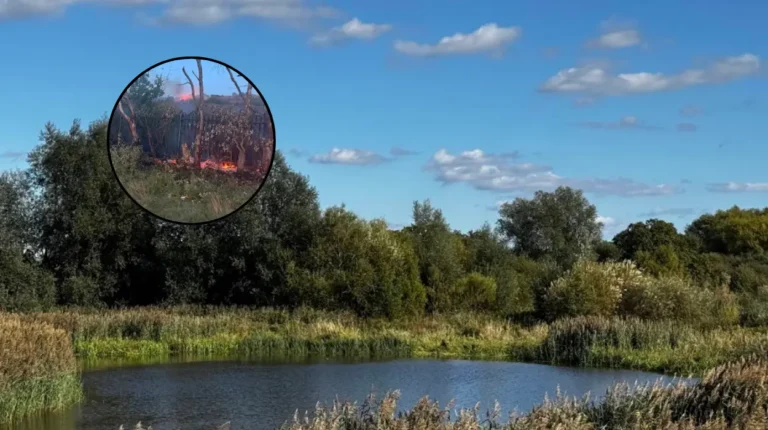 Firefighters Battle Severe Grass Fires Across Havering East London 2026