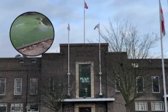 Fish Removed From Langtons Gardens Lake Amid Heatwave: Hornchurch 2026