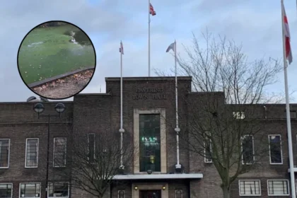 Fish Removed From Langtons Gardens Lake Amid Heatwave: Hornchurch 2026