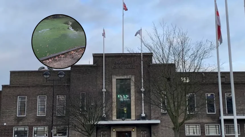 Fish Removed From Langtons Gardens Lake Amid Heatwave: Hornchurch 2026