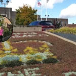 Five-Year-Old Riven Grows Giant 10ft Sunflower in Havering 2026