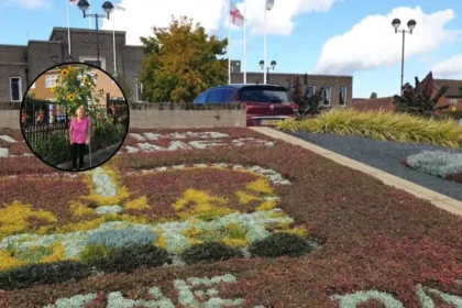 Five-Year-Old Riven Grows Giant 10ft Sunflower in Havering 2026