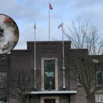 Havering Council Launches Major Deep Clean in Romford 2026