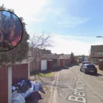 Havering Wildfires: Arson Investigations and Habitat Loss in Rainham 2026